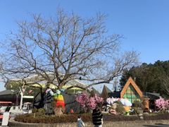 -宁波野生动物园