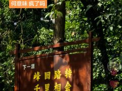 -莫干山风景区