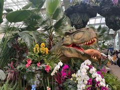 -沈阳植物园
