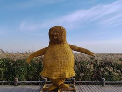 -红海滩国家风景廊道