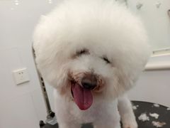 -美联众合24小时·皮肤科·外科·全科诊疗中心(华苑分院)