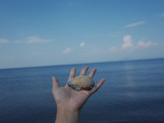 -汕尾风车岛