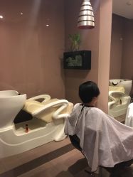 -史云逊养发护发