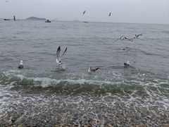 -银沙滩浴场