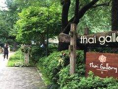 -静安公园(静安寺街道)