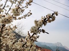 -仰口沙滩