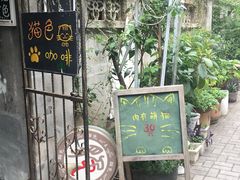 门面-猫色咖啡·猫咖
