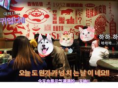 -仁信双皮奶(庙前直街店)