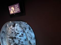 -鹿儿岛水族馆