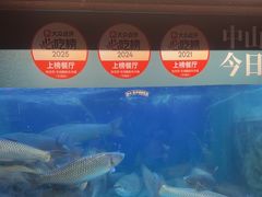 -淘米捞·米汤脆鲩鱼火锅(福田皇岗店)