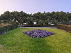 -上海科技馆(地铁站)