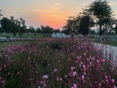 -汉长安城未央宫国家考古遗址公园