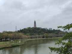 -顺峰山公园