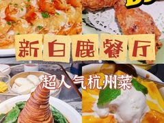 -新白鹿餐厅(松江开元地中海店)