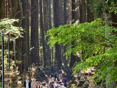 -上色见熊野座神社