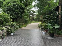 -鱼凫人家