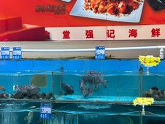 -强记海鲜·大排档(蛇口新街店)