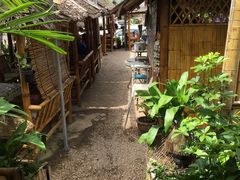 -Jungle Kitchen