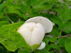-仁和公园(顺义区)
