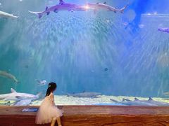 -华夏文旅海洋公园