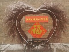 -大槐树寻根祭祖园