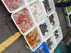 -青石桥花鸟鱼虫市场(叠翠城店)