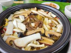 -百菇园野生菌煲(平武店)