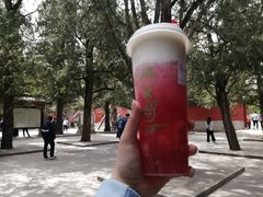 -茶大椰·椰子茶(星悦荟店)