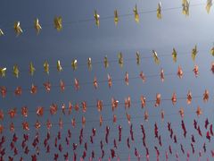 -武清南湖绿博园