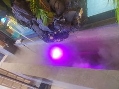 -星河湾温泉洗浴酒店