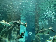 -福州罗源湾海洋世界旅游区