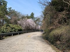 -虞山风景区