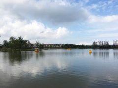 -上海长兴岛郊野公园