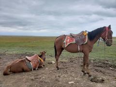 -青海湖国家重点风景名胜区