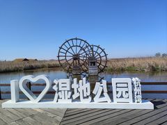 -宁波杭州湾国家湿地公园