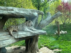 -北京野生动物园