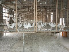 -大田塱鸽庄