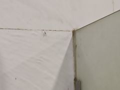 -梵臣游泳健身(康康谷店)