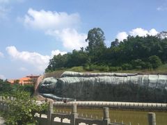 -三水森林公园