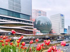 -SFC动漫主题影院(美罗城店)