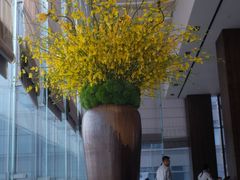 -悦轩中餐厅·高空江景·杭州柏悦酒店