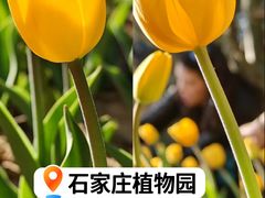 -石家庄市植物园