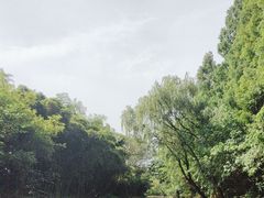 -同里国家湿地公园