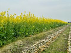 -中国天府农业博览园