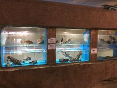 -郑庄脂渣海鲜楼(九水路店)