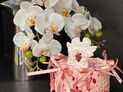 -ZIYUE CAKE线上店