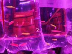 -华声天桥民俗文化园