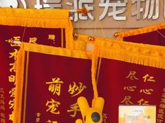 -瑞派宠物医院·犬猫全科·猫友好(宾水西道店)