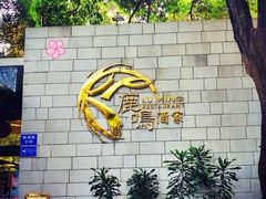 -鹿鸣酒家(越秀店)