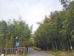 -苏州环秀晓筑养生度假村